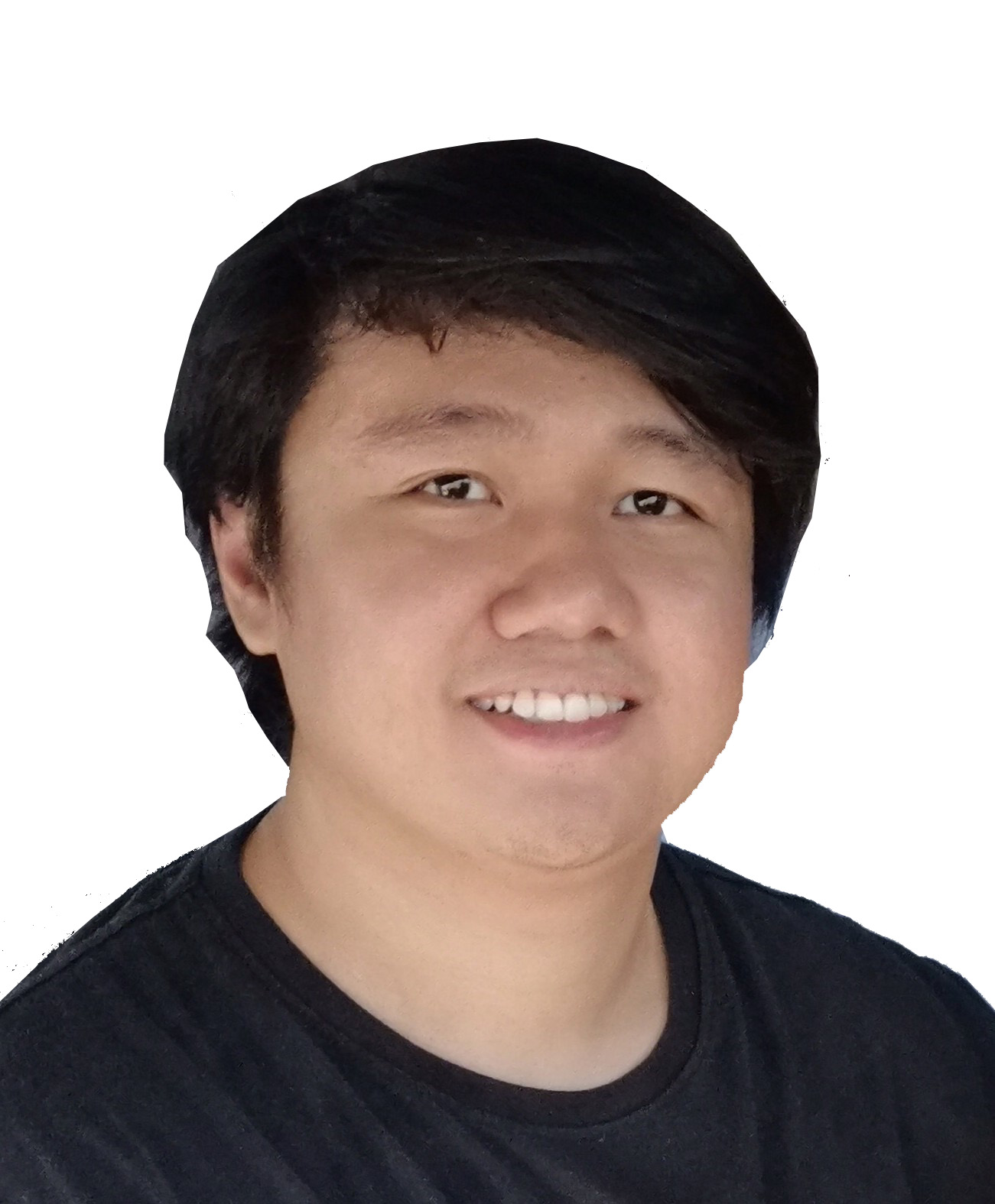 Nicholas G. Villarosa